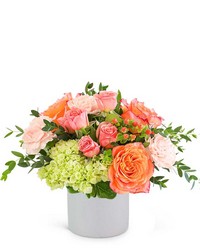 Malibu Magic from Scott's House of Flowers in Lawton, OK