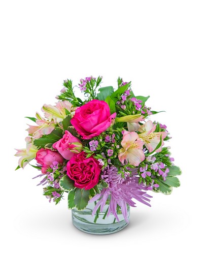 Simply Cosmopolitan from Scott's House of Flowers in Lawton, OK
