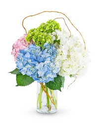 Sweet Hydrangea from Scott's House of Flowers in Lawton, OK