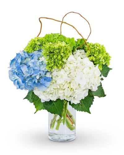 Hydrangea Perfection from Scott's House of Flowers in Lawton, OK