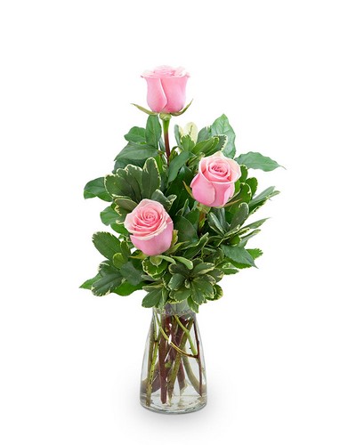 Pink Roses (3) from Scott's House of Flowers in Lawton, OK