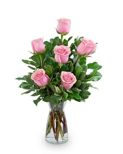 Pink Roses (6) (HDOZ) from Scott's House of Flowers in Lawton, OK