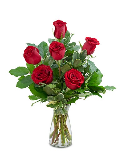 Red Roses (6) HDOZ from Scott's House of Flowers in Lawton, OK