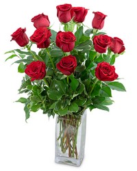 Classic Dozen Red Roses from Scott's House of Flowers in Lawton, OK