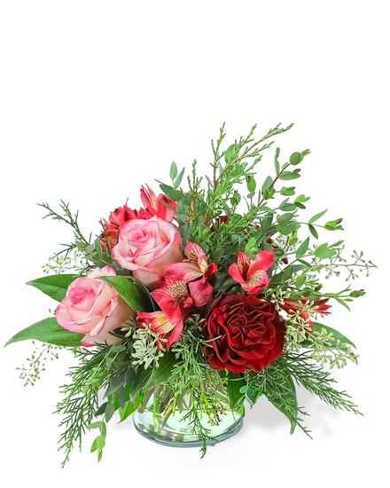 Sweet Cranberry from Scott's House of Flowers in Lawton, OK