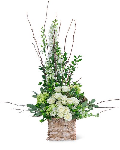 Grace  from Scott's House of Flowers in Lawton, OK