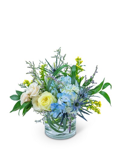 Wilde Blue from Scott's House of Flowers in Lawton, OK