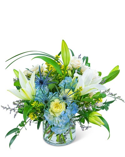 Luna Blue from Scott's House of Flowers in Lawton, OK