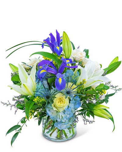 Untamed Beauty from Scott's House of Flowers in Lawton, OK