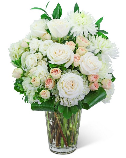 Aurora Elegance from Scott's House of Flowers in Lawton, OK