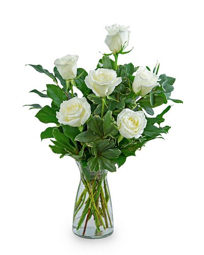 White Roses (6) from Scott's House of Flowers in Lawton, OK