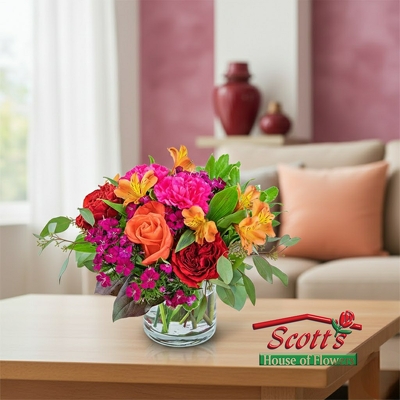 Mango Sunrise from Scott's House of Flowers in Lawton, OK Mango Sunrise from Scott's House of Flowers in Lawton, OK