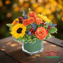 Charity in Bloom 2025 (Tuscan Cottage)  from Scott's House of Flowers in Lawton, OK