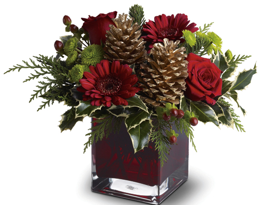 Cozy Christmas from Scott's House of Flowers in Lawton, OK