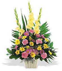 <b>Warm Thoughts Arrangement</b> from Scott's House of Flowers in Lawton, OK