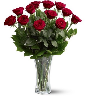 <b>One Dozen Red Premium Long Stem Roses</b> from Scott's House of Flowers in Lawton, OK