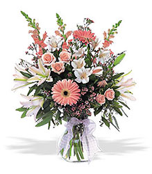 <b>Celebrating Baby Girl</b> from Scott's House of Flowers in Lawton, OK