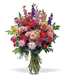 Large Sunshine and Smiles  from Scott's House of Flowers in Lawton, OK